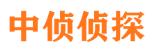 禹王台市私家侦探